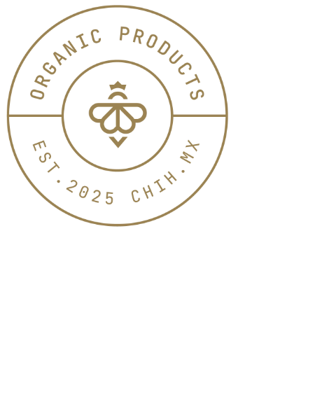HoneyHive Logo